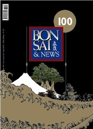 La copertina del numero 100